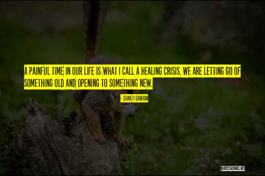 Shakti Gawain Quotes 1727778
