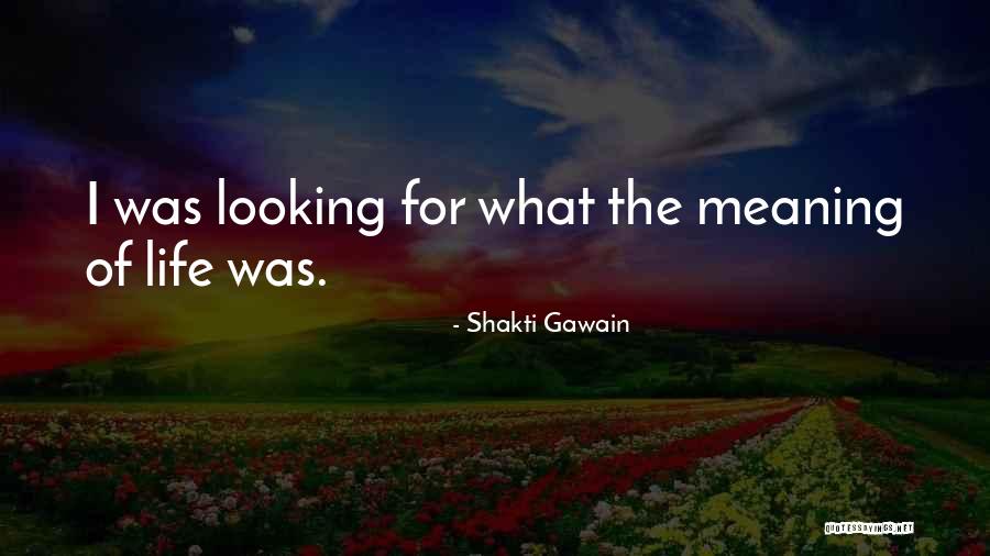 Shakti Gawain Quotes 2260869
