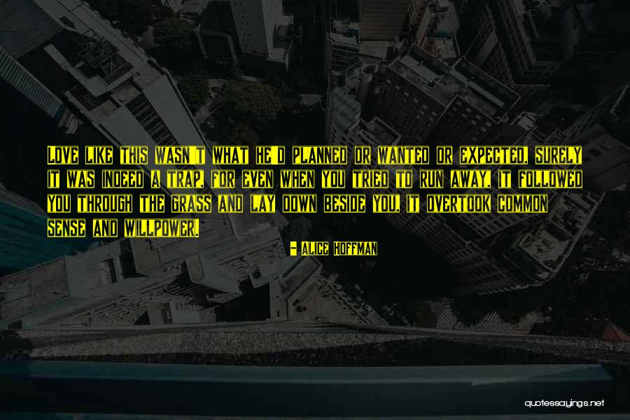 Shalako Festival Quotes By Alice Hoffman Shalako Festival Quotes By Alice Hoffman