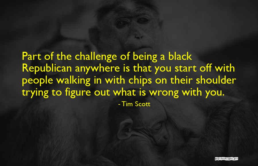Shalandis Isle Quotes By Tim Scott Shalandis Isle Quotes By Tim Scott