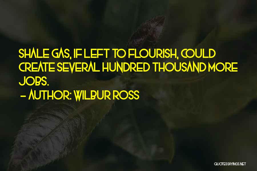 Shale Gas Quotes By Wilbur Ross