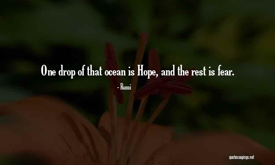Shalih Al Quotes By Rumi Shalih Al Quotes By Rumi