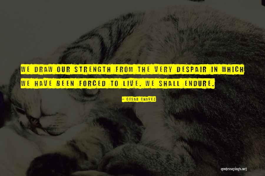 Shall Quotes By Cesar Chavez Shall Quotes By Cesar Chavez