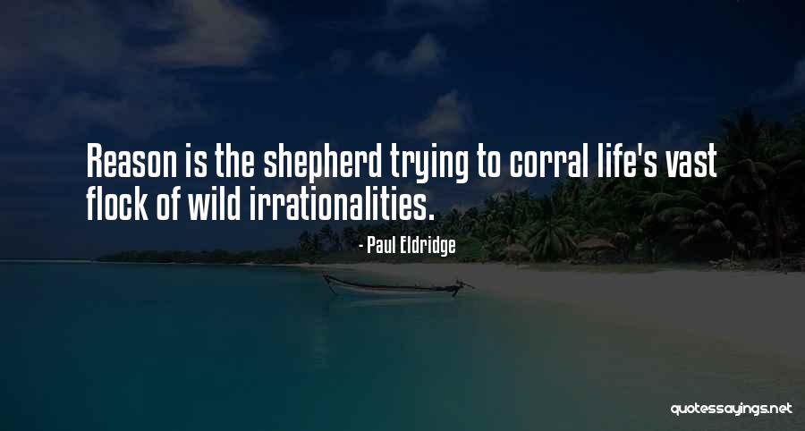 Shallop Mayflower Quotes By Paul Eldridge Shallop Mayflower Quotes By Paul Eldridge