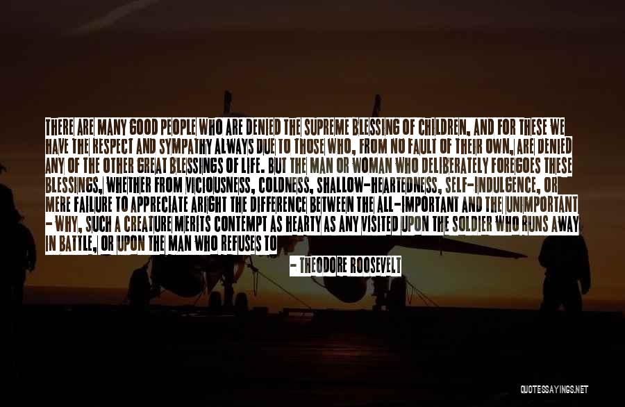 Shallow Good Quotes By Theodore Roosevelt Shallow Good Quotes By Theodore Roosevelt
