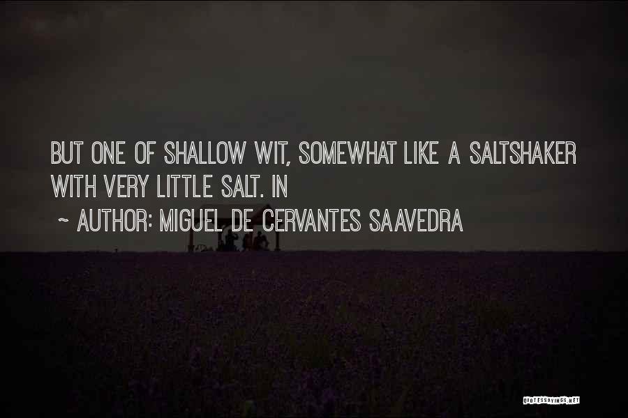 Shallow Quotes By Miguel De Cervantes Saavedra