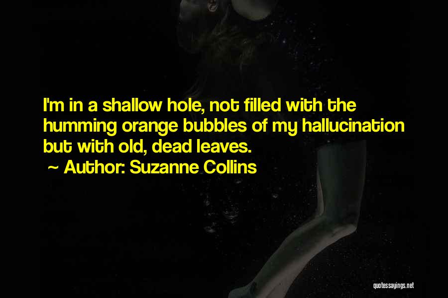 Shallow Quotes By Suzanne Collins