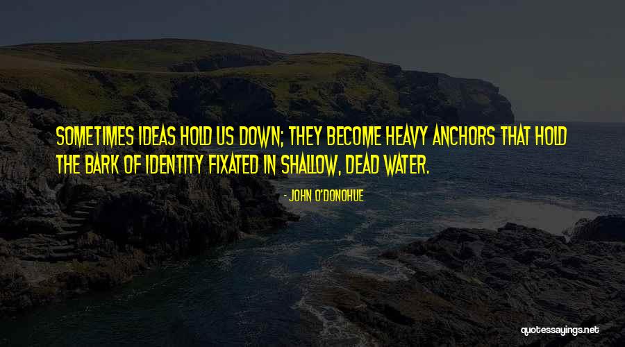 Shallow Water Quotes By John O'Donohue Shallow Water Quotes By John O'Donohue