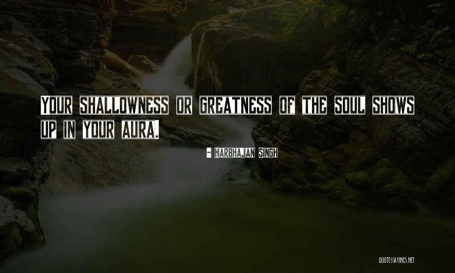 Shallowness Quotes By Harbhajan Singh