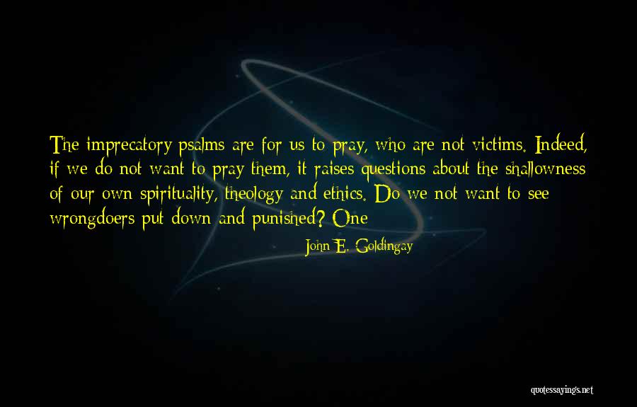 Shallowness Quotes By John E. Goldingay