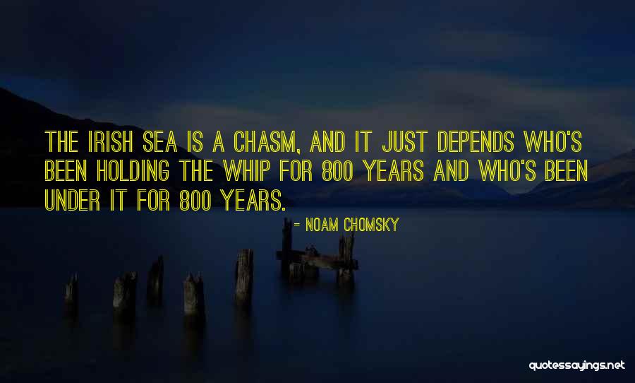 Shallows Lady Quotes By Noam Chomsky Shallows Lady Quotes By Noam Chomsky