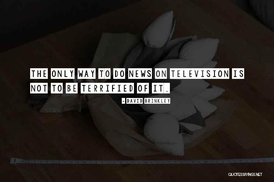 Shally Quotes By David Brinkley Shally Quotes By David Brinkley