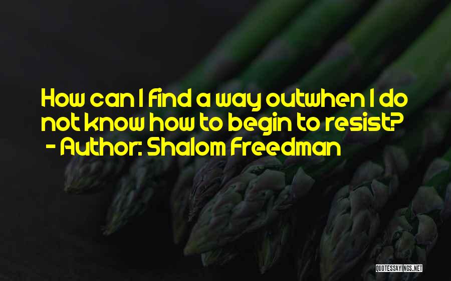 Shalom Freedman Quotes 1123053