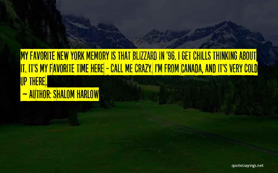 Shalom Harlow Quotes 107204