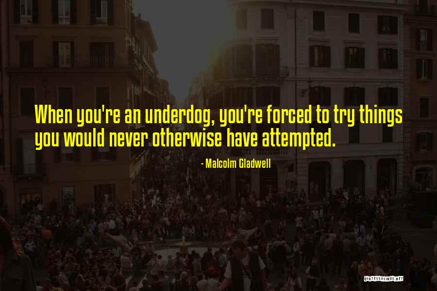 Shalome Jenkins Quotes By Malcolm Gladwell Shalome Jenkins Quotes By Malcolm Gladwell