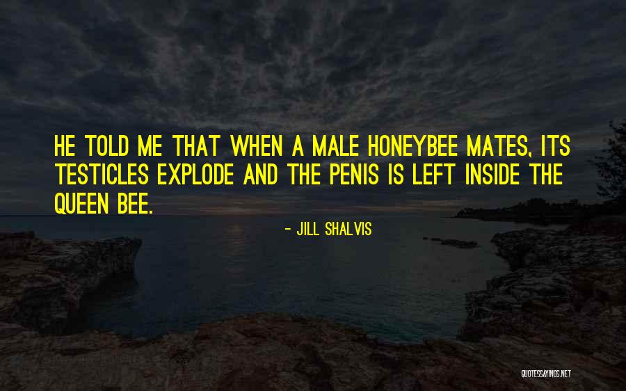 Shalvis Jill Quotes By Jill Shalvis Shalvis Jill Quotes By Jill Shalvis