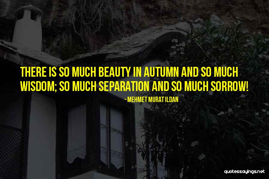 Shalyse Lopez Quotes By Mehmet Murat Ildan Shalyse Lopez Quotes By Mehmet Murat Ildan