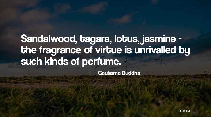 Shalyse Walker Quotes By Gautama Buddha Shalyse Walker Quotes By Gautama Buddha