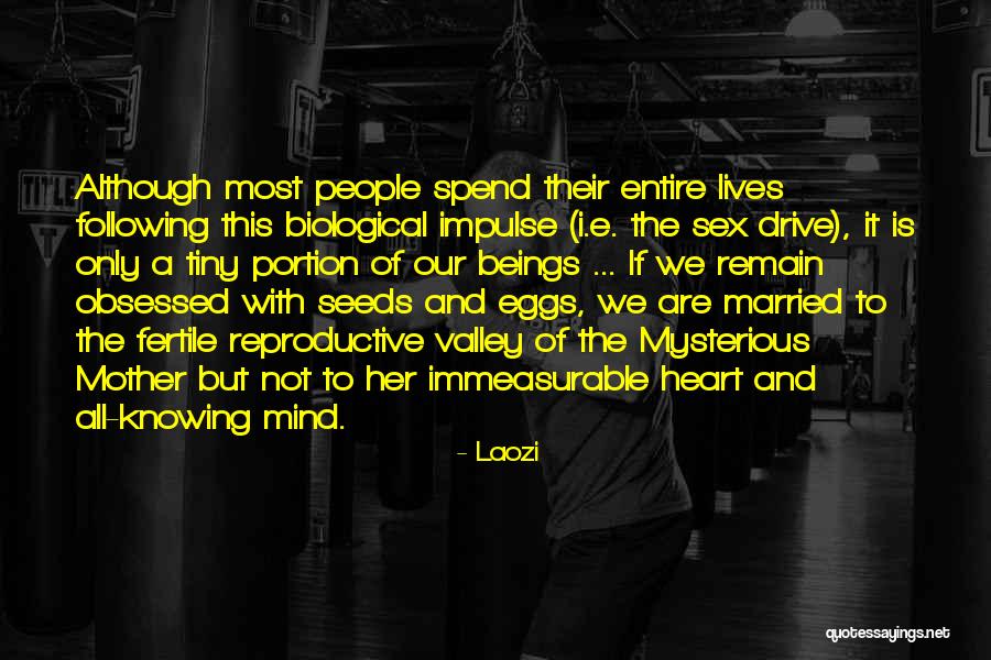 Shalyse Walker Quotes By Laozi Shalyse Walker Quotes By Laozi