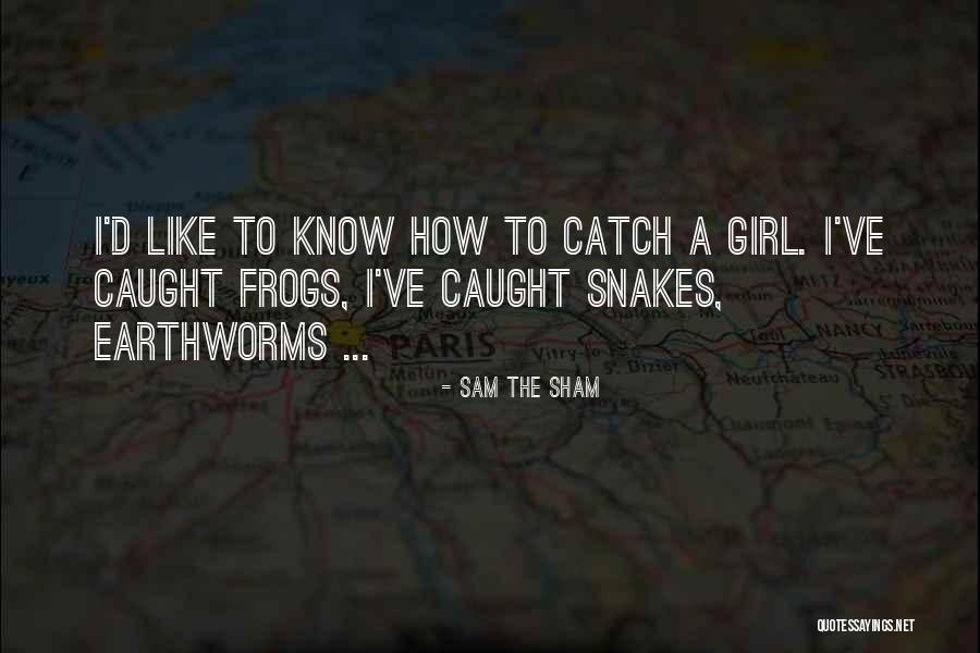 Sham Quotes By Sam The Sham Sham Quotes By Sam The Sham