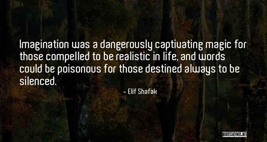Shamana Dolphin Quotes By Elif Shafak Shamana Dolphin Quotes By Elif Shafak