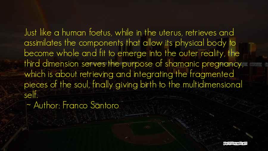 Shamanism Quotes By Franco Santoro