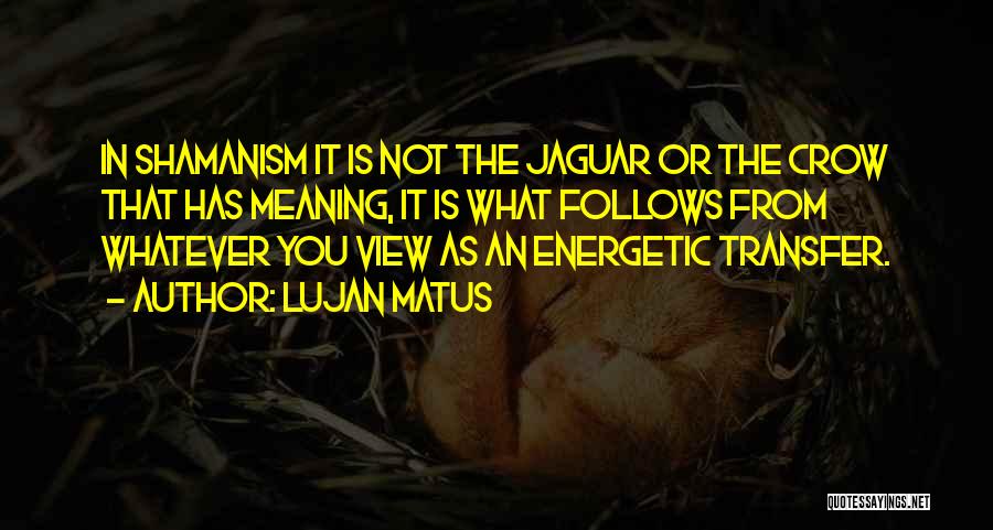 Shamanism Quotes By Lujan Matus