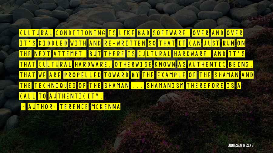 Shamanism Quotes By Terence McKenna