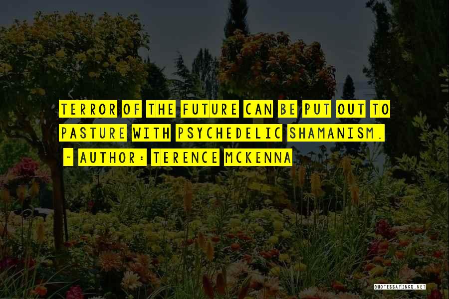 Shamanism Quotes By Terence McKenna