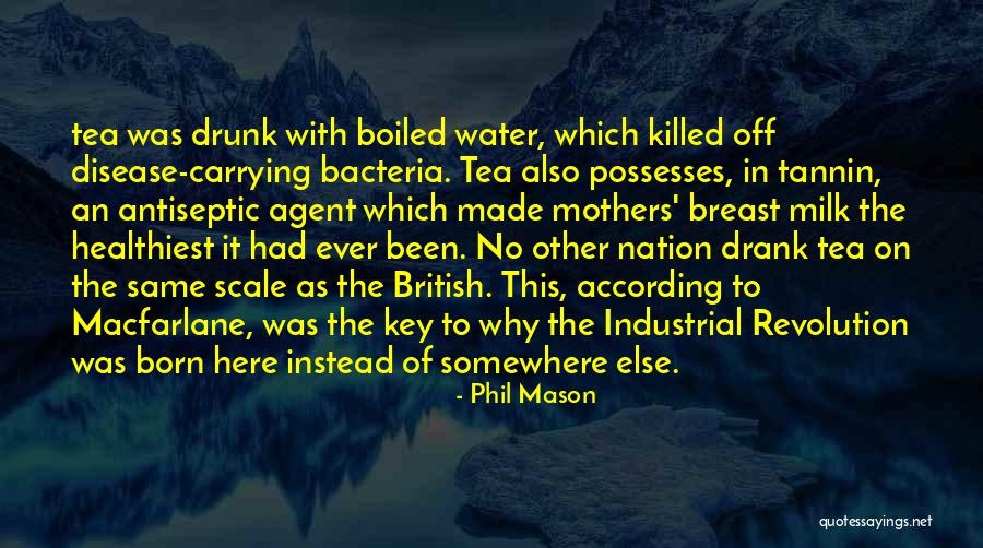 Shamanny Quotes By Phil Mason Shamanny Quotes By Phil Mason