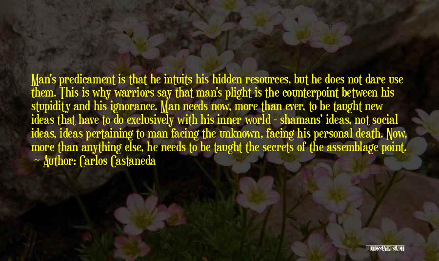 Shamans Quotes By Carlos Castaneda