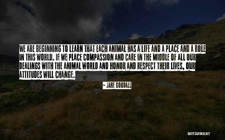 Shamberg Michael Quotes By Jane Goodall Shamberg Michael Quotes By Jane Goodall