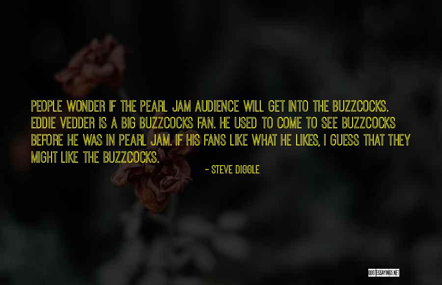 Shambolic In Spanish Quotes By Steve Diggle