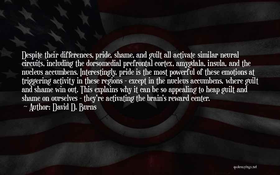 Shame And Pride Quotes By David D. Burns