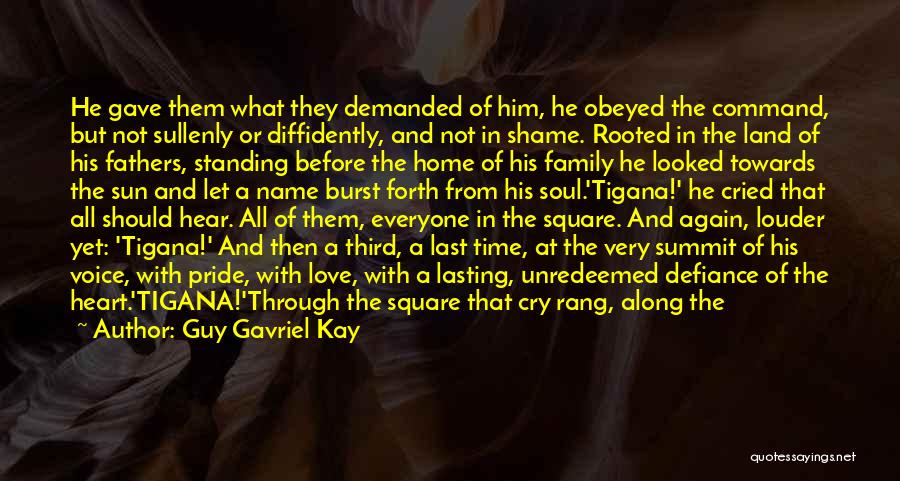 Shame And Pride Quotes By Guy Gavriel Kay