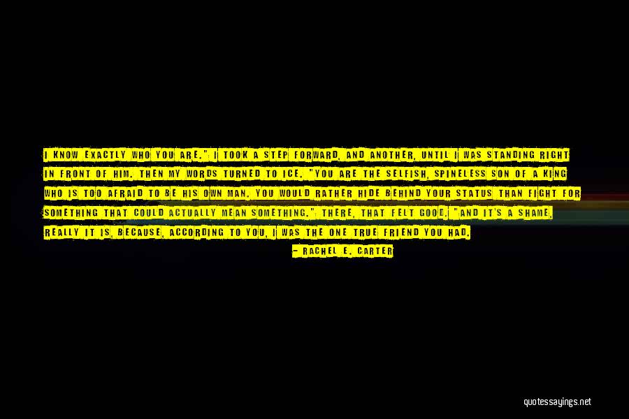 Shame In You Quotes By Rachel E. Carter Shame In You Quotes By Rachel E. Carter