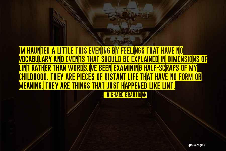 Shame Is An Ocean Quotes By Richard Brautigan Shame Is An Ocean Quotes By Richard Brautigan