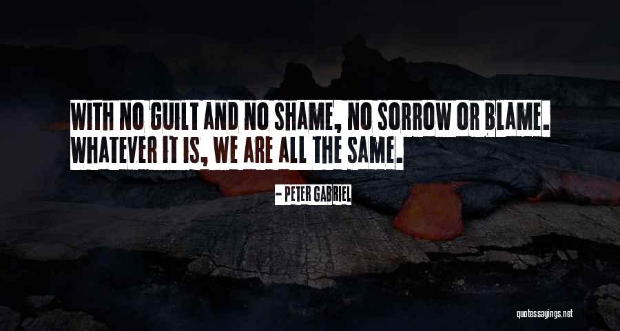 Shame It Blame Quotes By Peter Gabriel