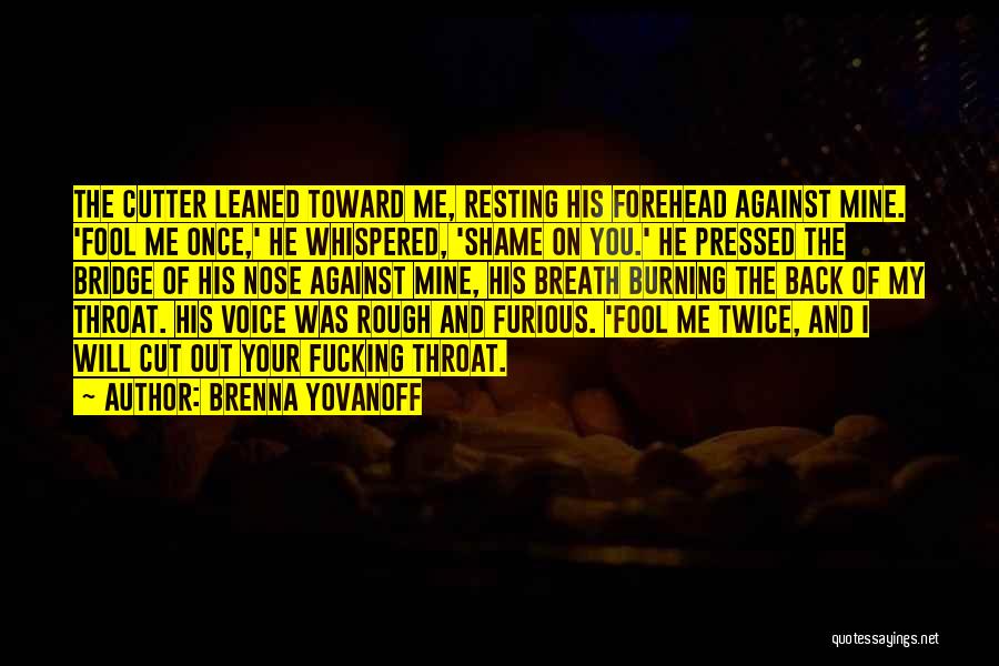 Shame On You Shame On Me Quotes By Brenna Yovanoff