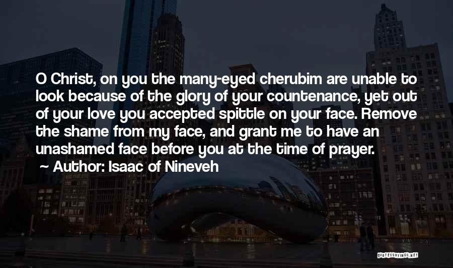 Shame On You Shame On Me Quotes By Isaac Of Nineveh
