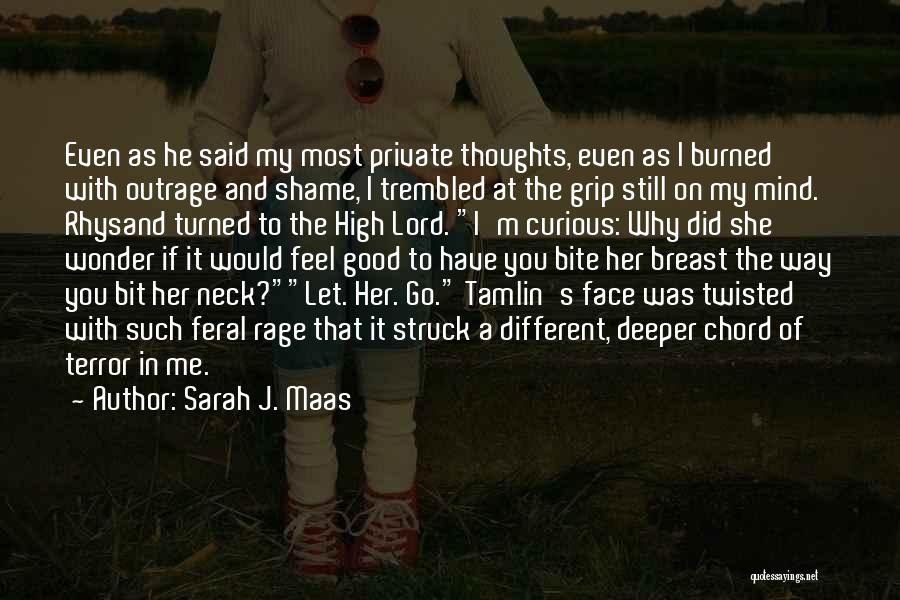 Shame On You Shame On Me Quotes By Sarah J. Maas
