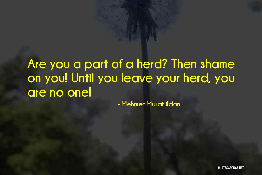 Shame Quotes Quotes By Mehmet Murat Ildan Shame Quotes Quotes By Mehmet Murat Ildan
