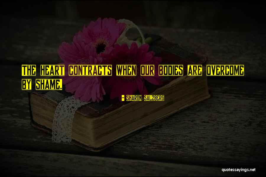Shame Quotes Quotes By Sharon Salzberg Shame Quotes Quotes By Sharon Salzberg