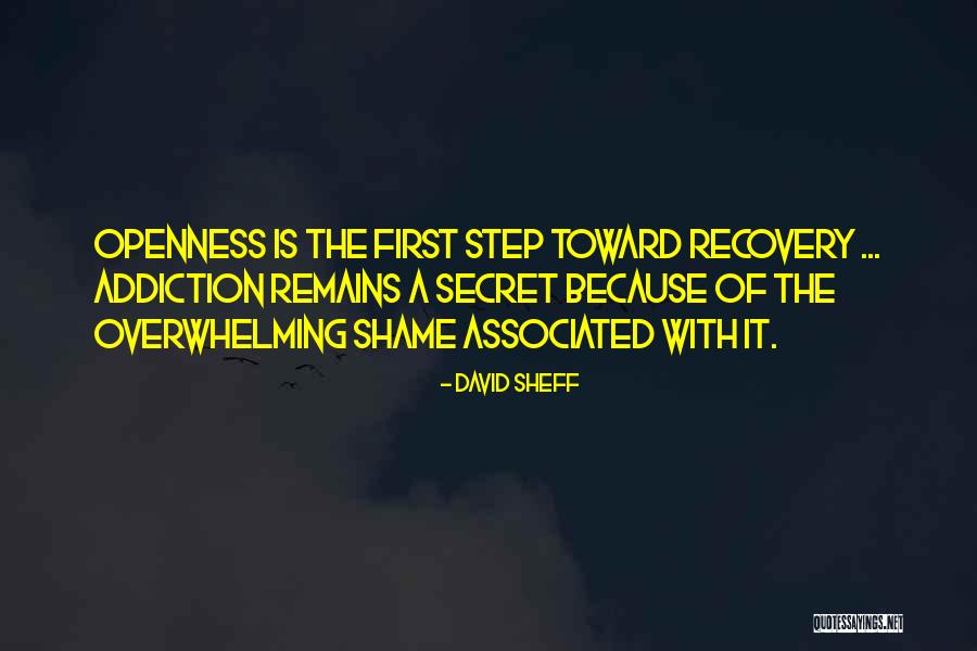 Shame Recovery Quotes By David Sheff