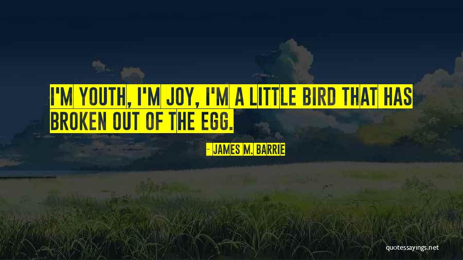 Shamefully Sacrificed Quotes By James M. Barrie