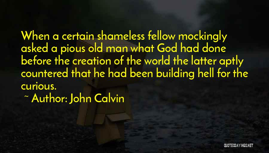 Shameless Fellow Quotes By John Calvin