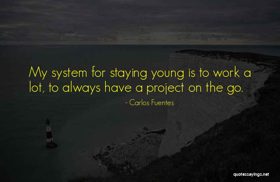 Shamina Hisham Quotes By Carlos Fuentes Shamina Hisham Quotes By Carlos Fuentes