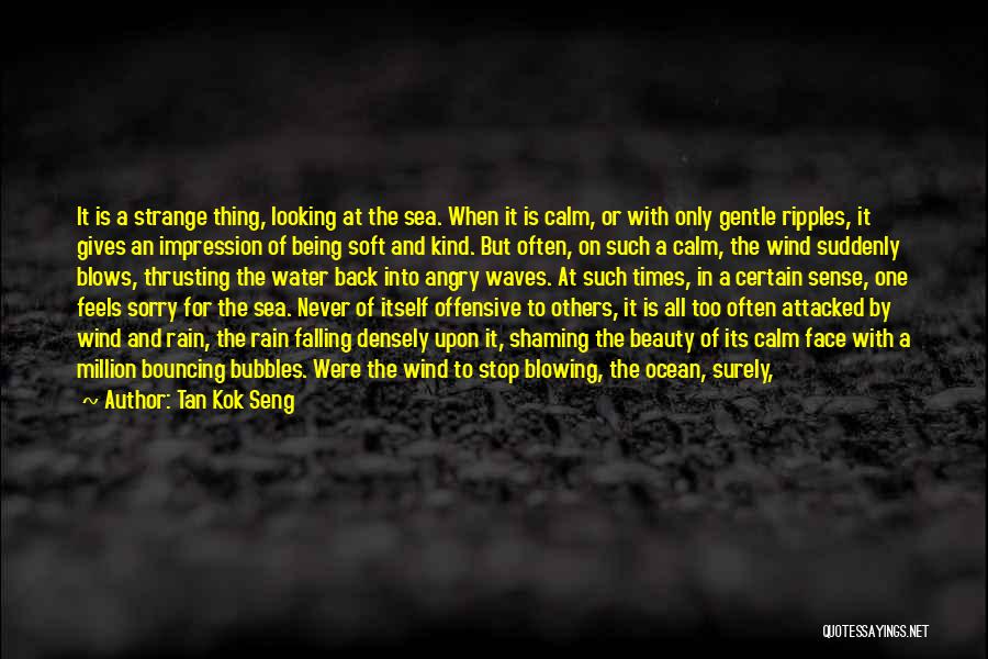 Shaming Others Quotes By Tan Kok Seng