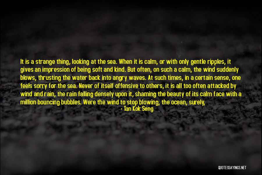 Shaming Others Quotes By Tan Kok Seng