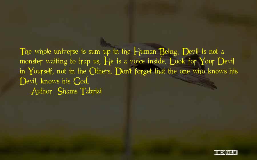 Shams Quotes By Shams Tabrizi